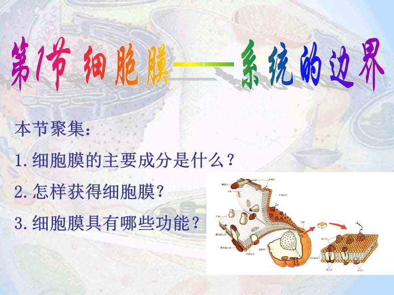 细胞膜-系统的边界.ppt_第1页