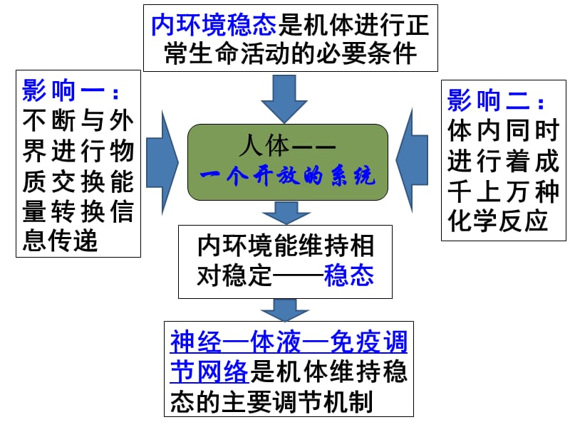 通过神经系统的调节.ppt_第1页