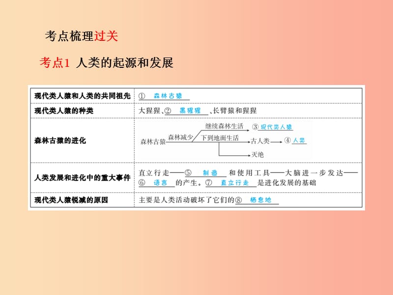 （聊城专版）2019年中考生物 第一部分 系统复习 成绩基石 第4单元 第1章 人的由来课件.ppt_第2页