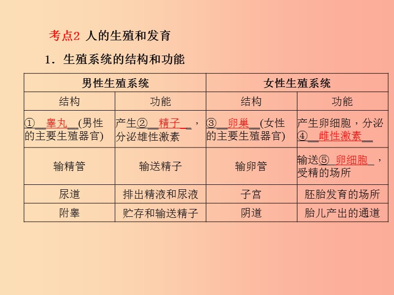 （聊城专版）2019年中考生物 第一部分 系统复习 成绩基石 第4单元 第1章 人的由来课件.ppt_第3页