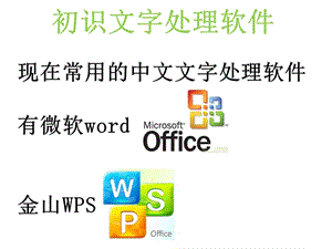 《初識文字處理軟》PPT課件.ppt