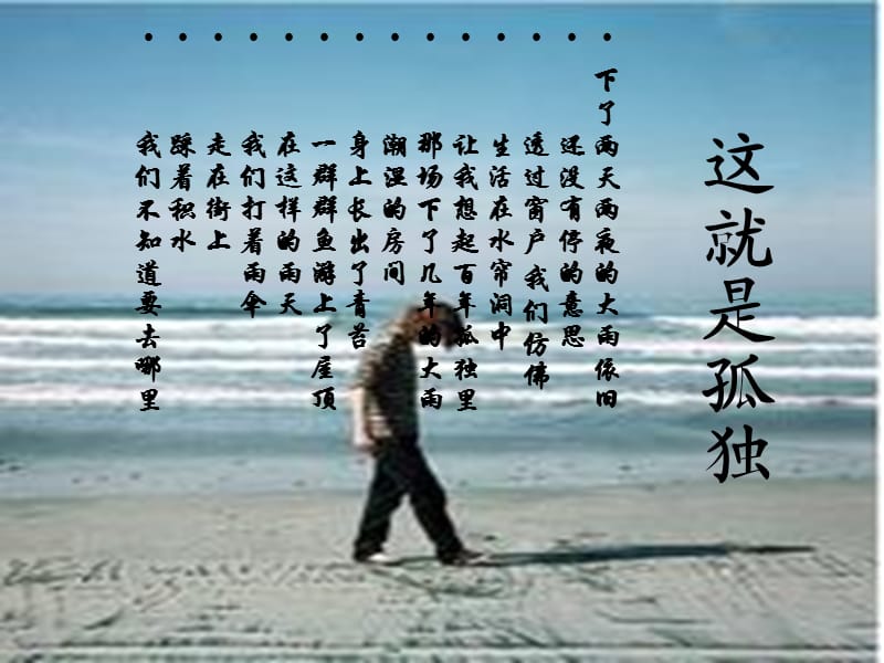 《孤独是一种态度》PPT课件.ppt_第3页