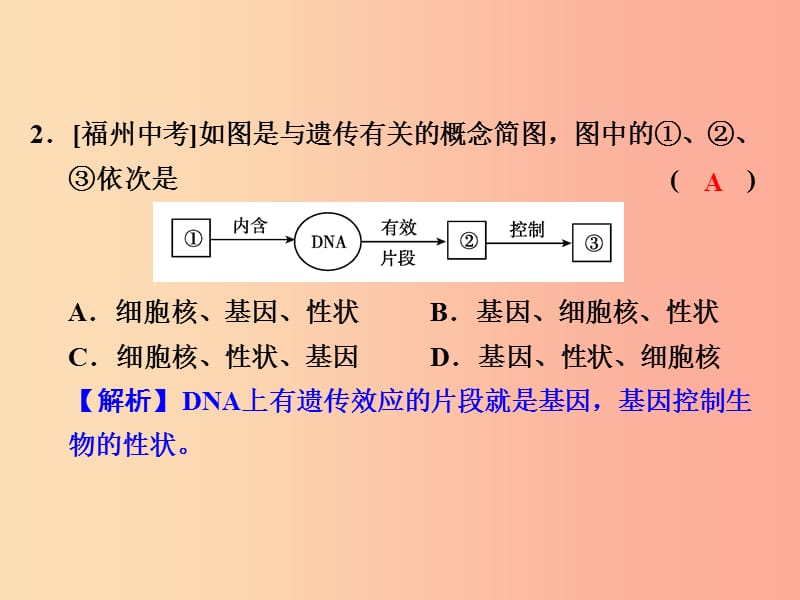 浙江省中考科学（生物部分）第一篇 主题4 第二单元 遗传与进化课件.ppt_第3页