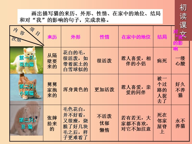 2019年七年级语文上册 第五单元 16 猫课件1 新人教版.ppt_第3页