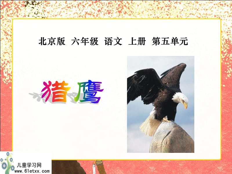 (北京版)六年级语文上册课件猎鹰.ppt_第1页