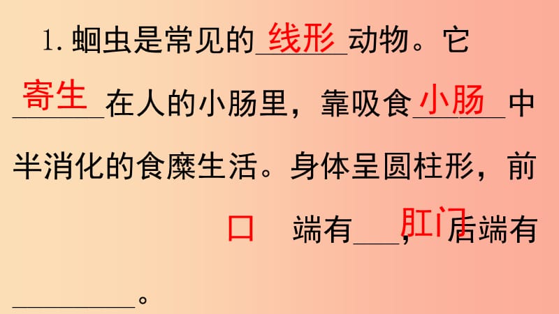 内蒙古鄂尔多斯市达拉特旗八年级生物上册 5.1.2线形动物和环节动物课件 新人教版.ppt_第3页