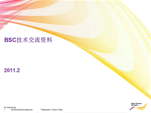 Bsc技術(shù)交流資料.ppt