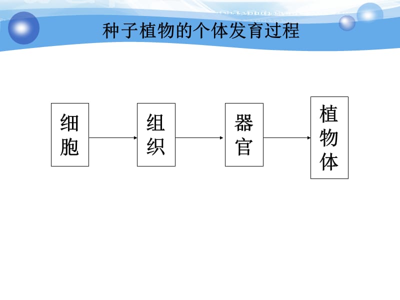 竞赛辅导植物生物学-植物的细胞和组织共.ppt_第2页