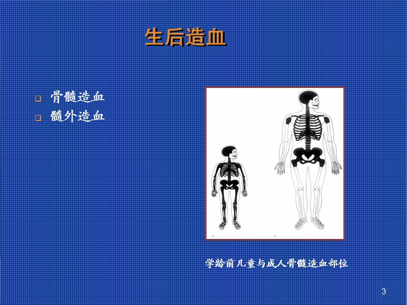 营养性缺铁性贫血患儿的护理ppt课件_第3页