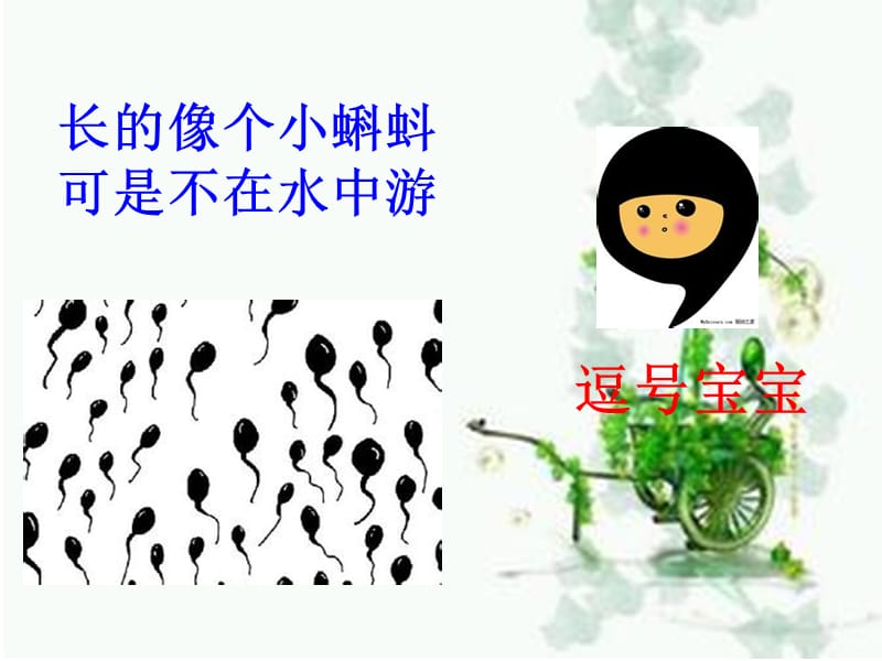 一年级作文猪爸爸请客.ppt_第3页