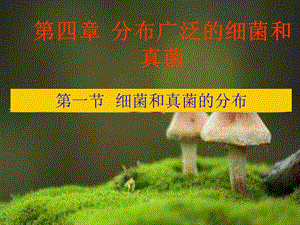 《細菌和真菌的分布》.ppt