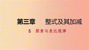 七年級數(shù)學上冊 第三章 整式及其加減 3.5 探索與表達規(guī)律 3.5.1 探索數(shù)字與圖形規(guī)律練習課件 北師大版.ppt