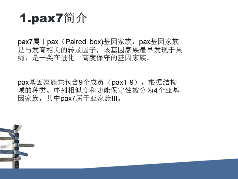 PAX7对肌肉损伤修复的重要作用.ppt_第3页