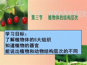 2019年七年級生物上冊 2.2.3《植物體的結(jié)構層次》課件2 新人教版.ppt