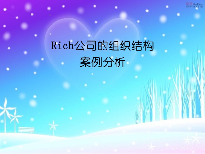 rich公司的案例分析.ppt_第1页