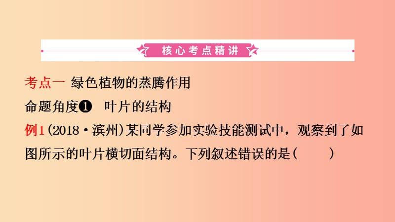 山东省2019年中考生物总复习 第二单元 多彩的生物世界 第一章 生物圈中的绿色植物课件.ppt_第2页