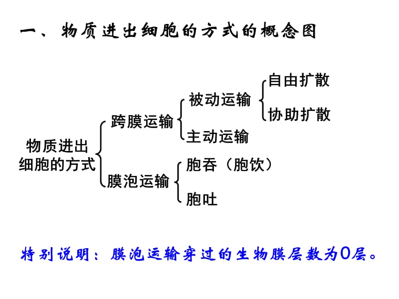 物质的运输方式(上).ppt_第2页