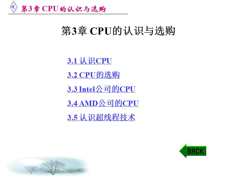 CPU的认识与选购.ppt_第1页