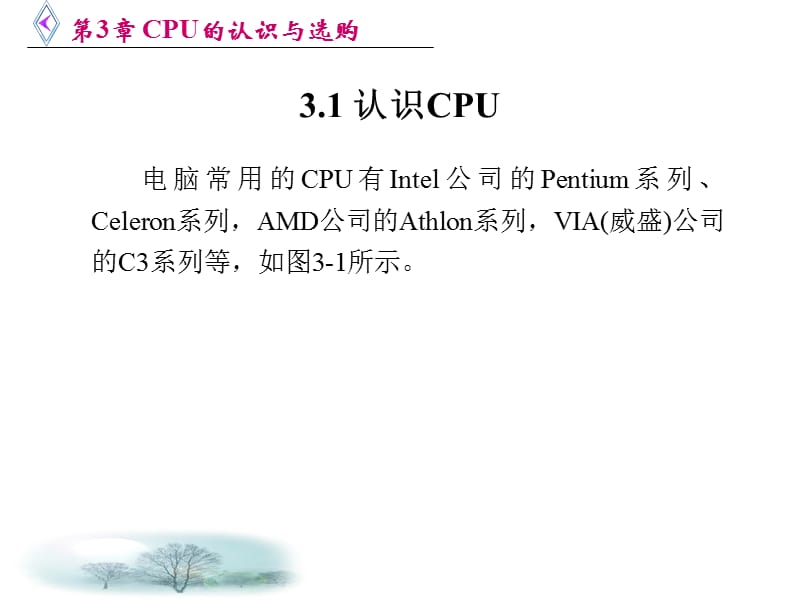 CPU的认识与选购.ppt_第2页
