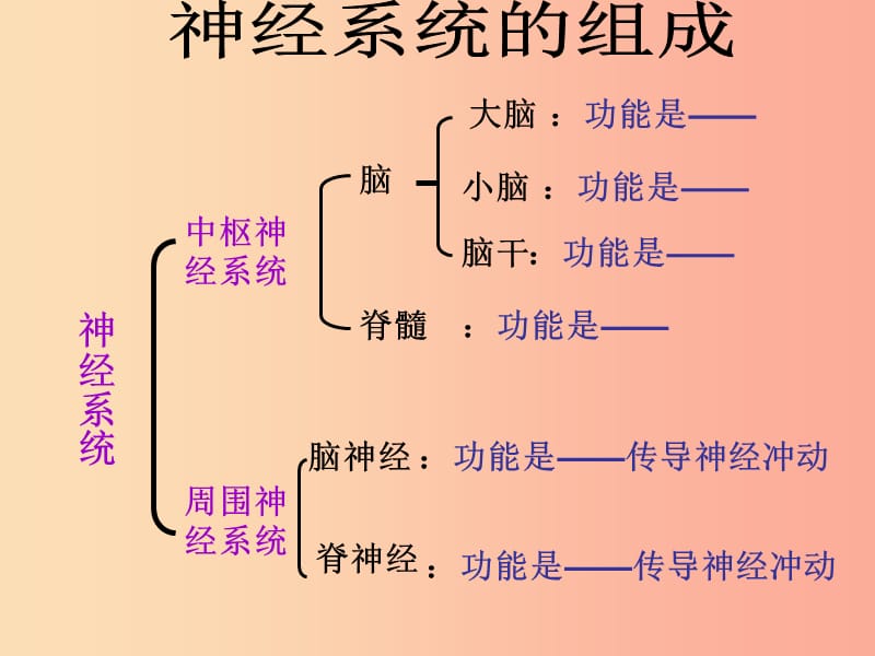 内蒙古七年级生物下册 第四单元 第六章 人体生命活动的调节课件 新人教版.ppt_第3页