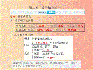 （聊城專版）山東省2019年中考生物總復(fù)習(xí) 第三單元 生物圈中的綠色植物 第二章 被子植物的一生課件.ppt