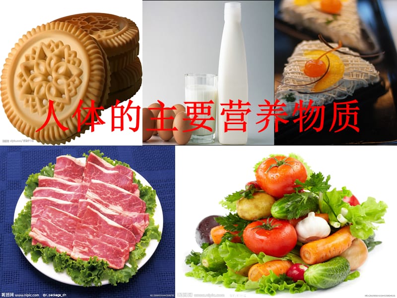 食物的消化与吸收.ppt_第2页