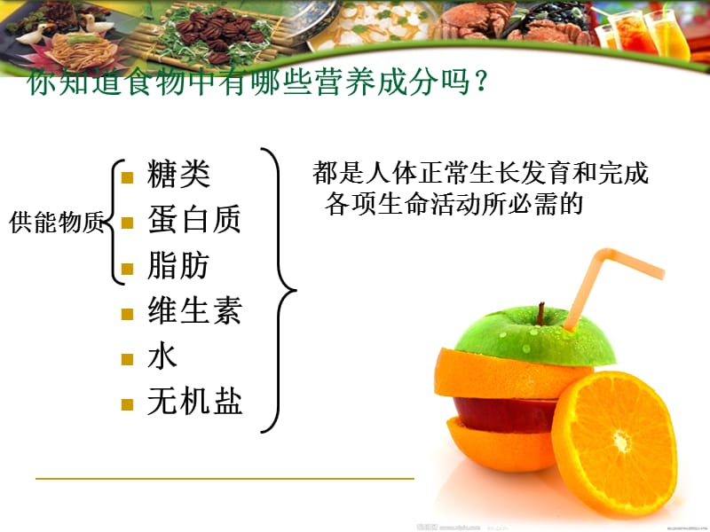 食物的消化与吸收.ppt_第3页