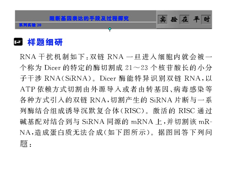 系列实验20阻断基因表达的手段及过程探究.ppt_第1页