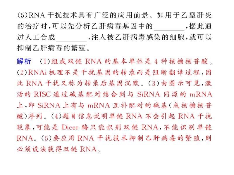 系列实验20阻断基因表达的手段及过程探究.ppt_第3页