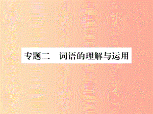 2019年八年級(jí)語(yǔ)文上冊(cè) 專(zhuān)題2 詞語(yǔ)的理解與運(yùn)用習(xí)題課件 新人教版.ppt