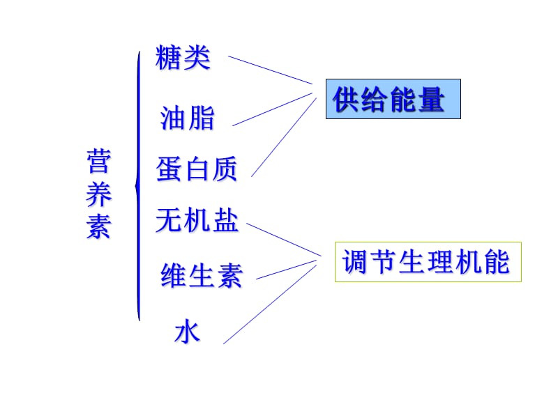 高一化学提供能量与营养食物.ppt_第2页