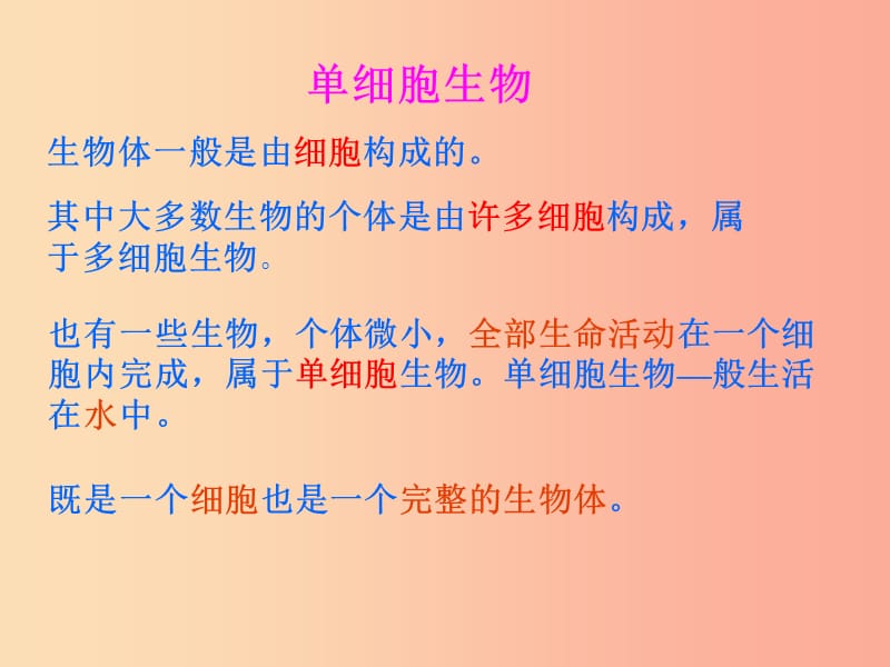 七年级科学上册 第2章 观察生物 2.6 生物的多样性 1 单细胞生物课件 浙教版.ppt_第3页