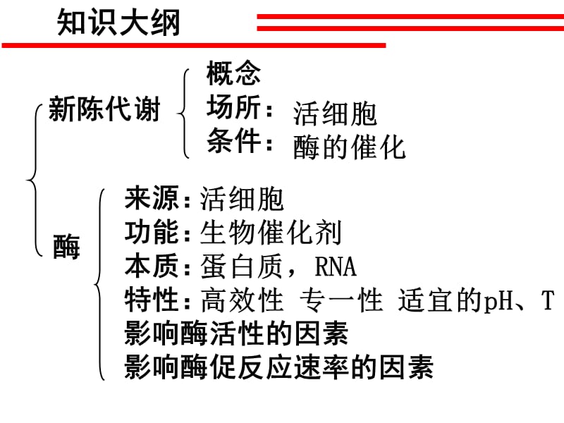 高中生物新陈代谢与酶.ppt_第3页