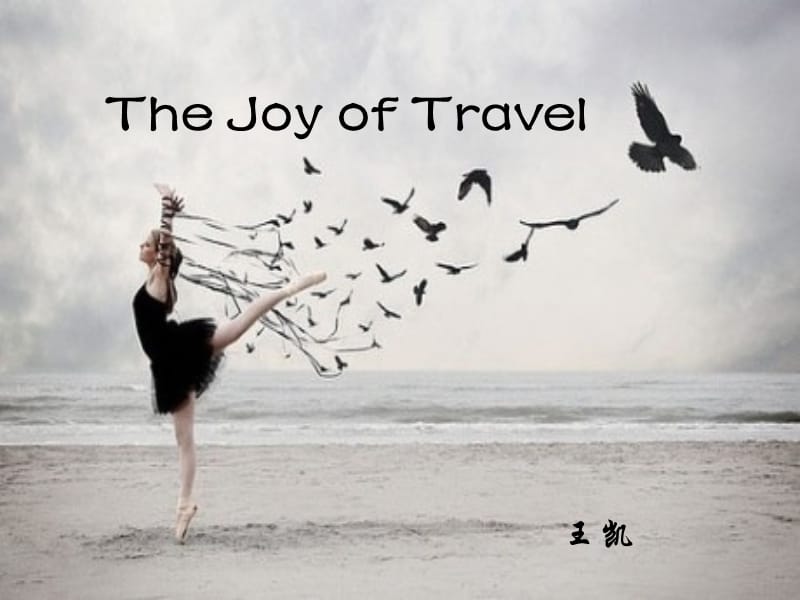 TheJoyofTravel-王凯.ppt_第1页