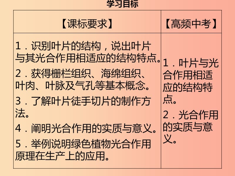 2019年秋季七年级生物上册第三单元第5章第1节光合作用第3课时习题课件（新版）北师大版.ppt_第3页