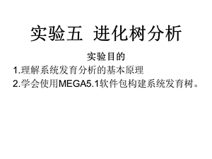 MEGA5構(gòu)建系統(tǒng)發(fā)育樹.ppt