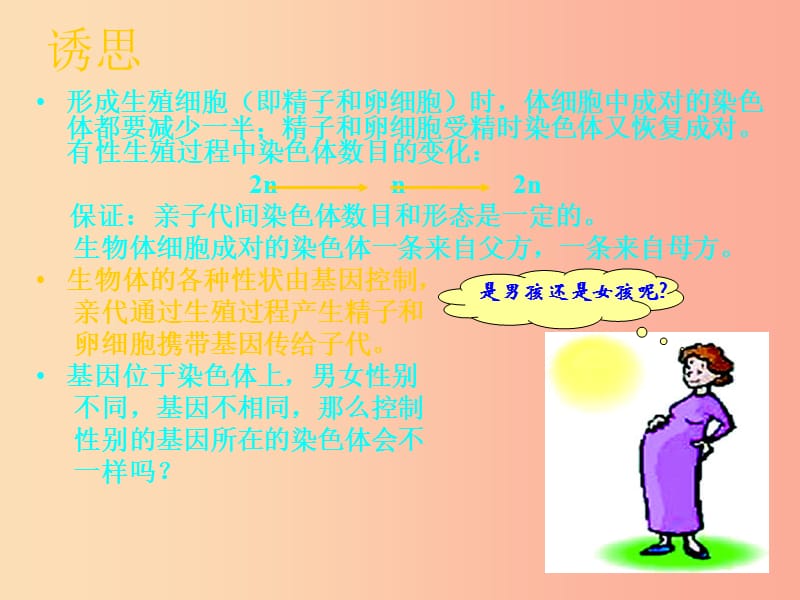 陕西省八年级生物下册 第二章 第四节 人的性别遗传课件2 新人教版.ppt_第1页