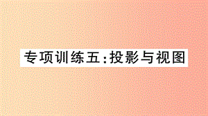 （江西專版）2019春九年級數(shù)學(xué)下冊 九上 復(fù)習(xí)專項訓(xùn)練五 投影與視圖習(xí)題講評課件（新版）北師大版.ppt