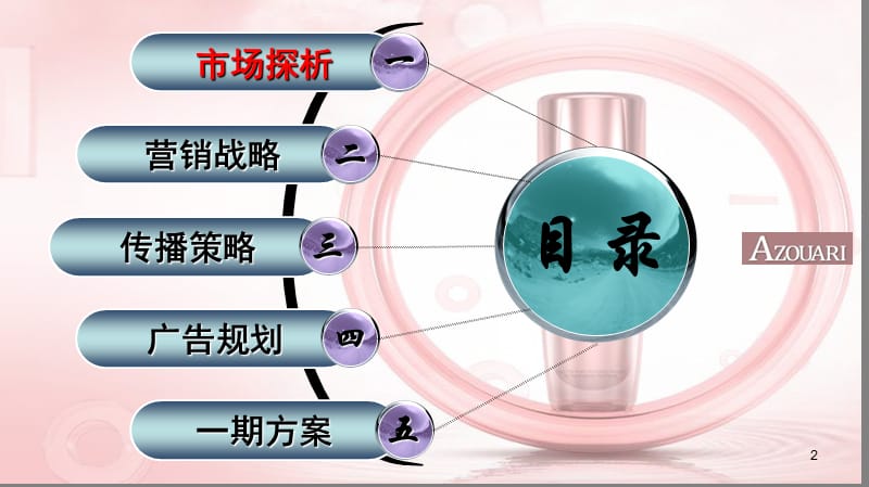 美容化妆网络整体营销及网络公关案例(来自千马广告).ppt_第2页