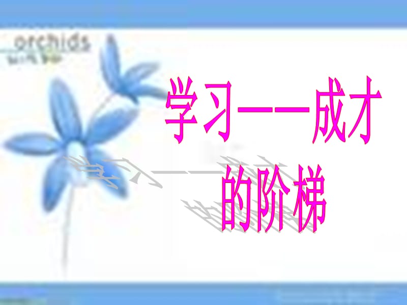 《學習成才的階梯》PPT課件.ppt_第1頁