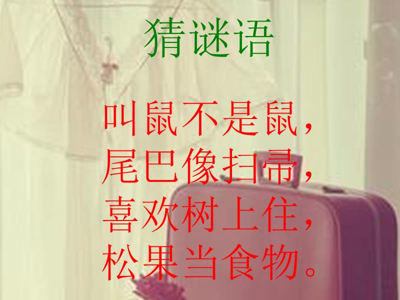 《跑进家来的松鼠》PPT课件.ppt_第1页