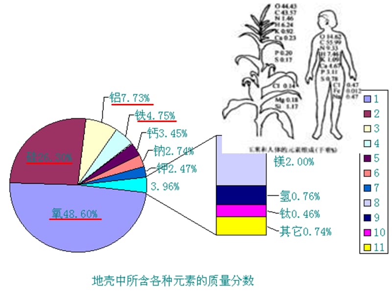 高中·生物生命的物质基础.ppt_第2页