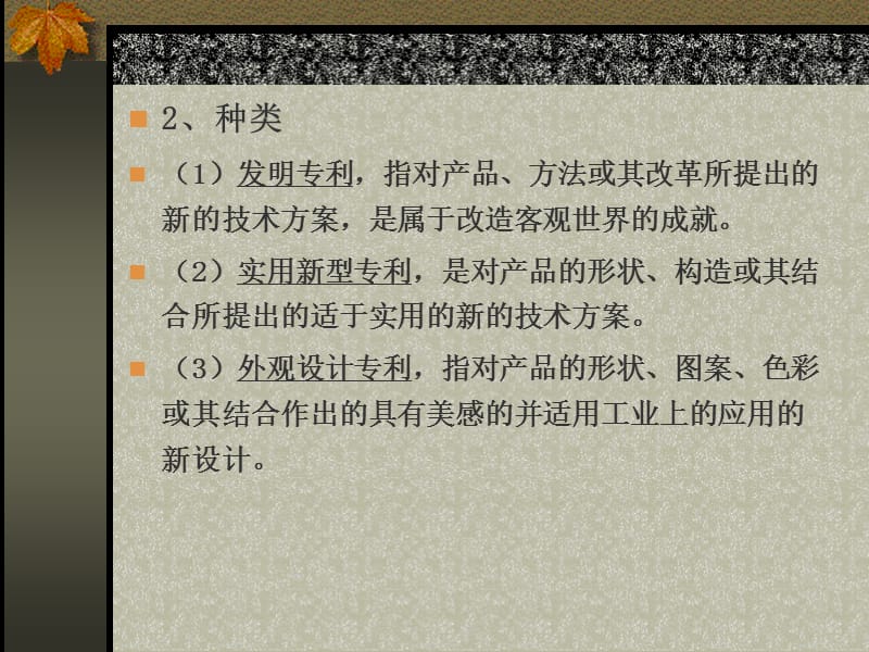 《专利文献检索I》PPT课件.ppt_第3页