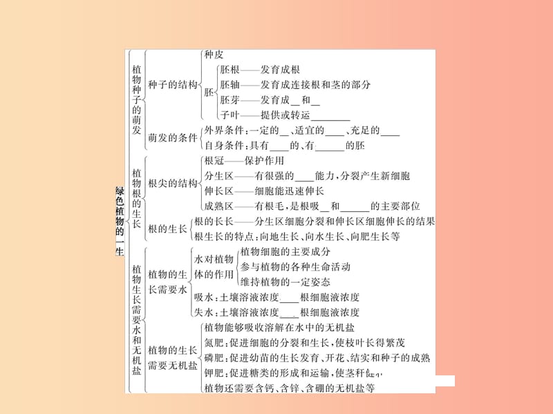 七年级生物上册第3单元生物圈中的绿色植物整合习题课件新版苏教版.ppt_第2页