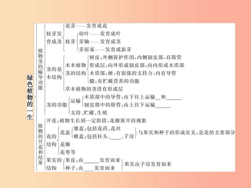 七年级生物上册第3单元生物圈中的绿色植物整合习题课件新版苏教版.ppt_第3页