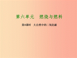 2019版中考化學復習方案 第9課時 大自然中的二氧化碳課件 魯教版.ppt