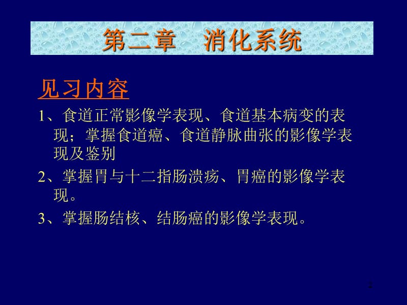 影像见习消化系统ppt课件_第2页