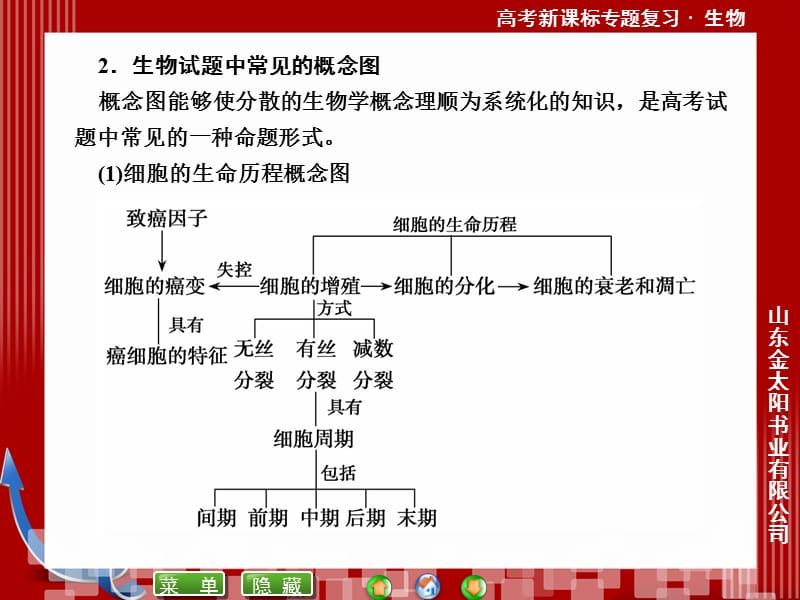 生物第2部分构建知识模型.ppt_第3页