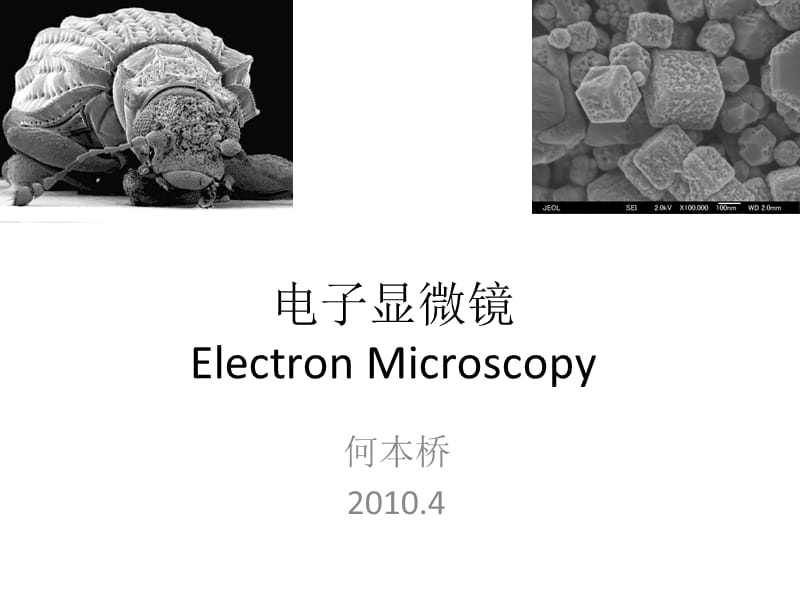 電子顯微鏡講義-2010(第12節(jié)).ppt_第1頁