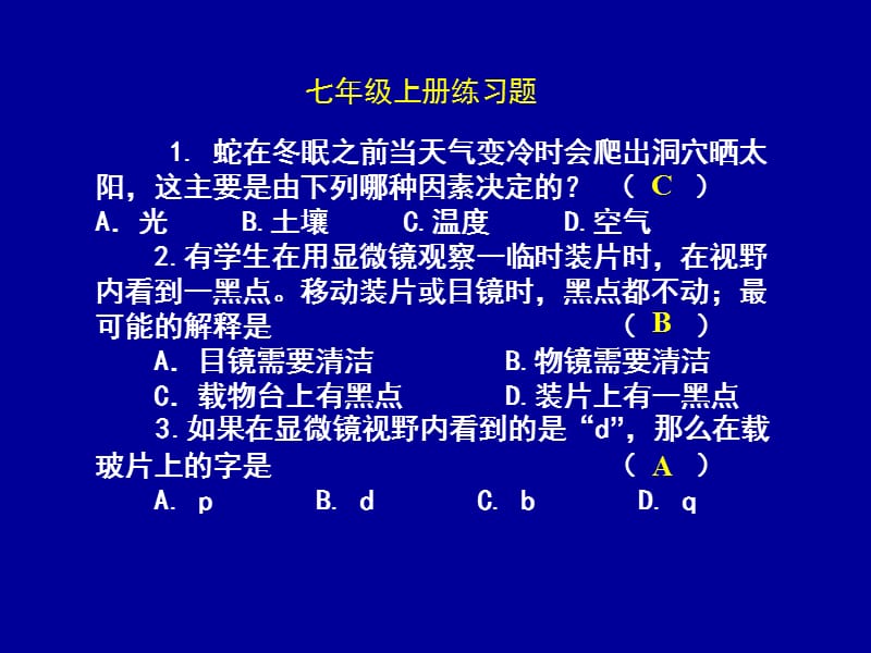 七年级语文上册练习题.ppt_第2页